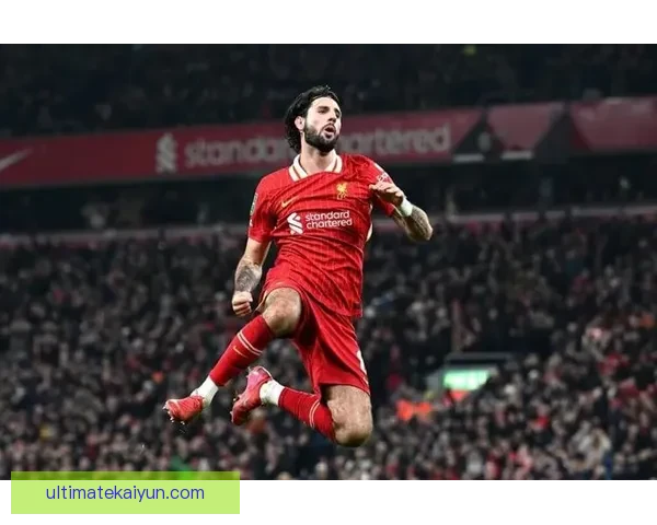 索博斯洛伊在利物浦中场表现稳健，具备持续提升的潜力。