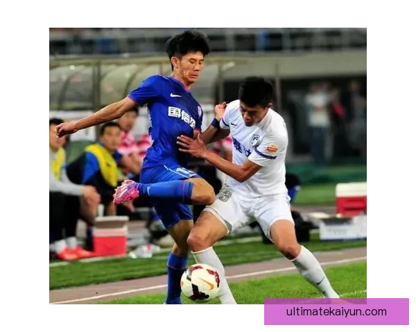 足球明星盘查后现状分析及其对职业生涯的影响